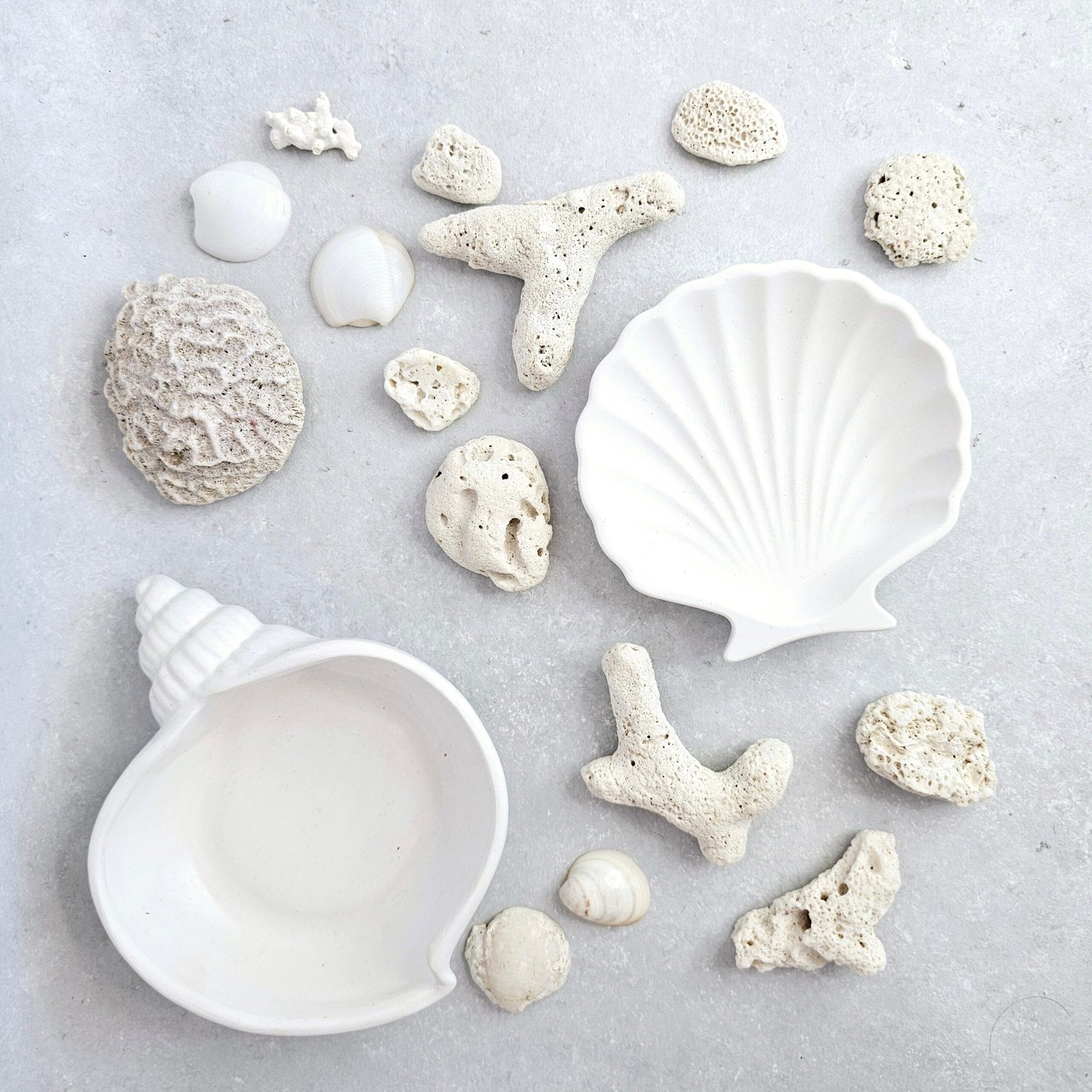 Shell - Imagen 3